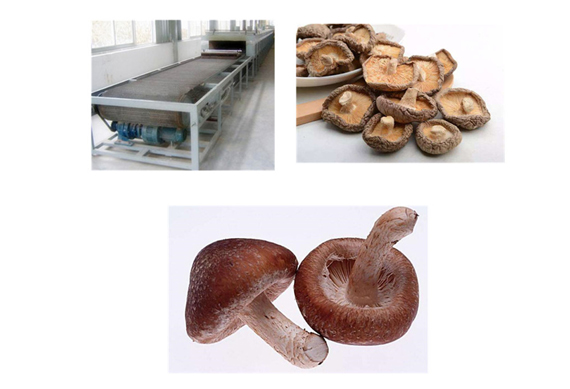 Hot Sale Fruit Drying Line for Dehydrated fruit