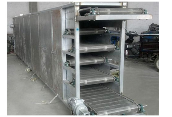 Hot Sale Fruit Drying Line for Dehydrated fruit