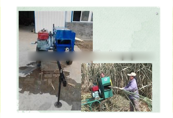 sugarcane cleaner