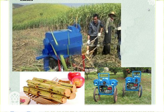 sugarcane cleaner