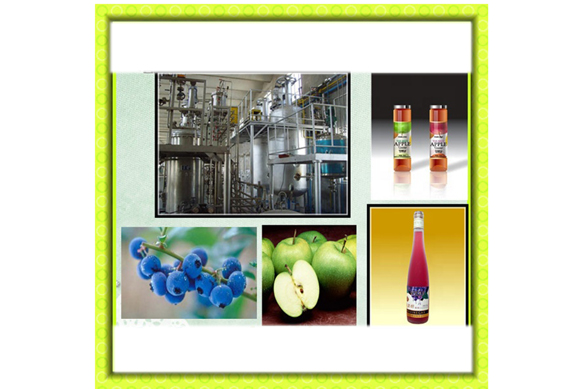 Vinegar Liquid State Fermentation Production Line