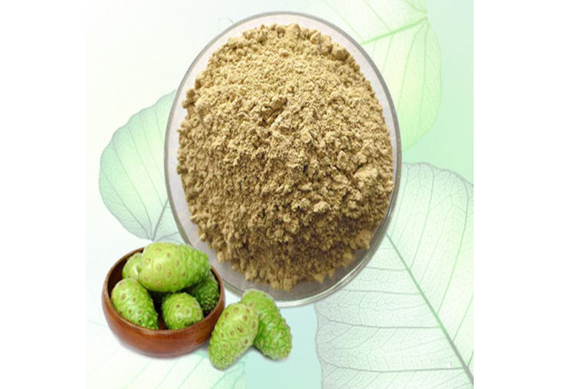 commercial noni extract processing machine