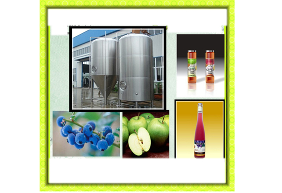 blueberry vinegar liquid fermentation process line