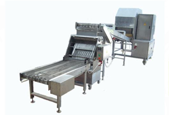 Spring Roll Wrapper Production Line