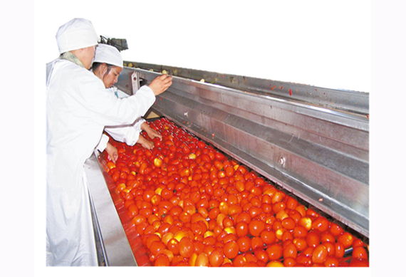 Fully automatic tomato ketchup production line