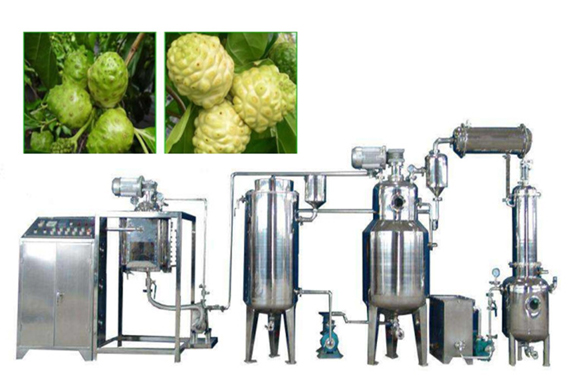 best quality Fresh noni extract production line
