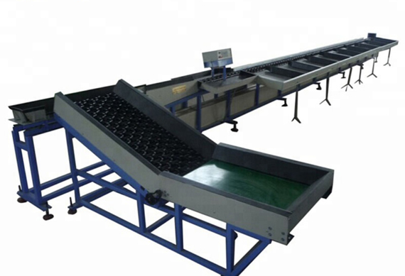 citrus fruit washing waxing and grading machine