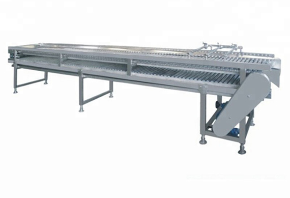 citrus fruit washing waxing and grading machine