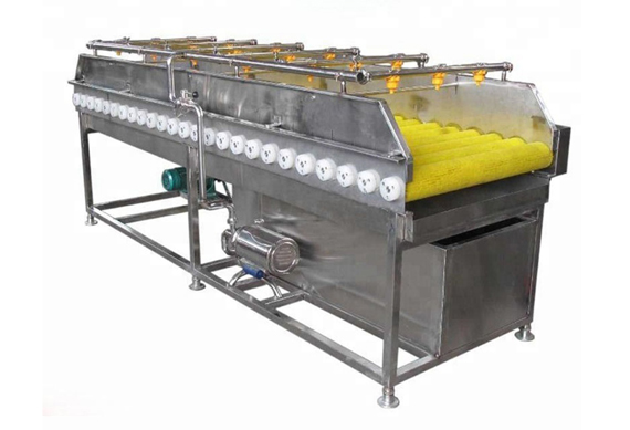 citrus fruit washing waxing and grading machine