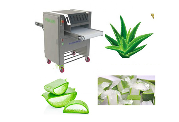 complete aloe vera processing machine for aloe vera powder and aloe vera gel making