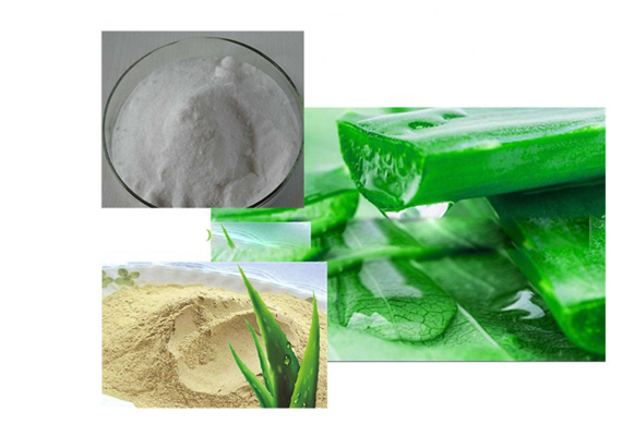 complete aloe vera processing machine for aloe vera powder and aloe vera gel making