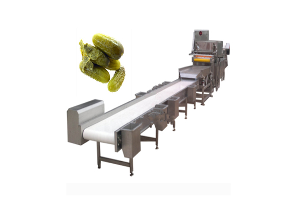 commercial small pickled cucumber processing equipment