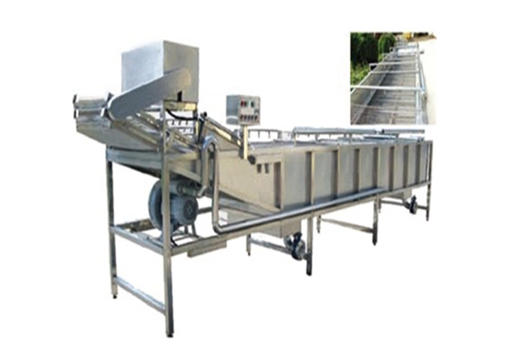 commercial small pickled cucumber processing equipment