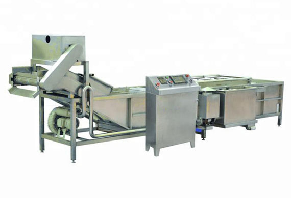 vegetable washing machine manuafactures