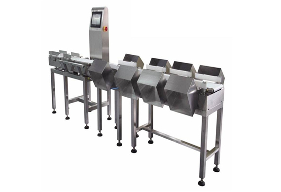 stainless steel automatic weighing sorter