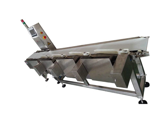 stainless steel automatic weighing sorter