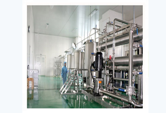 shanghai Natural Chicory Root Extract 90% inulin powder processing line