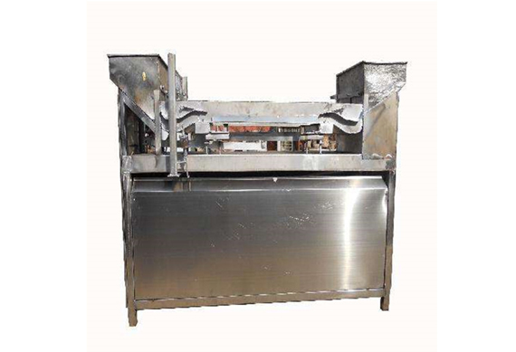 small scale fruit leather production line