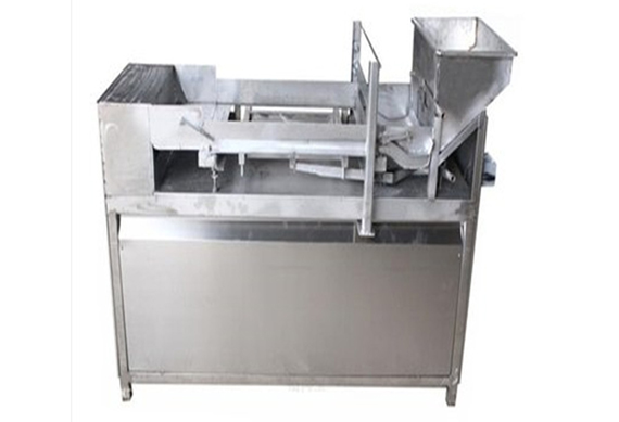 small scale fruit leather production line