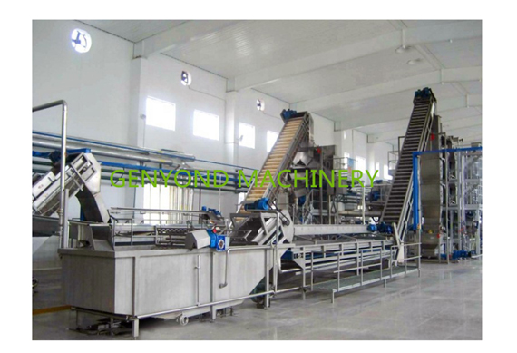 Tomato Paste Processing Line Machine Processing Tomatoes Tomato Jam Paste Processing Machine Production Line