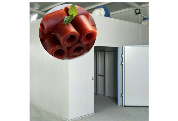 industrial fruit leather snack process plant