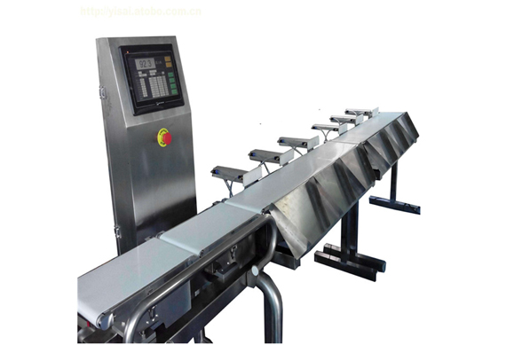 high speed checkweigher