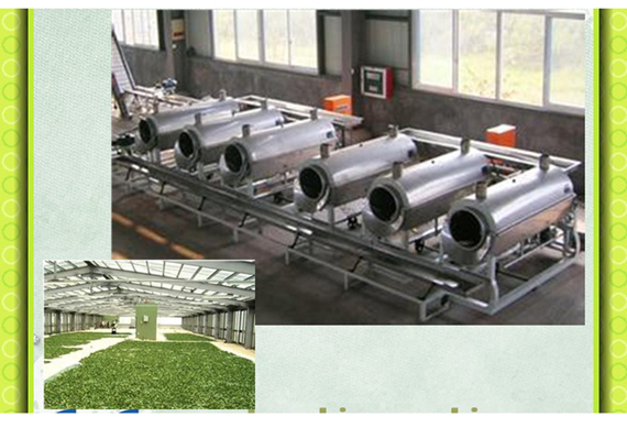 Tea leaf processing machine / tea steamer /tea steaming machine