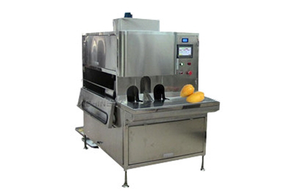 mango peeling and slicer machine