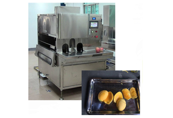 mango peeling and slicer machine