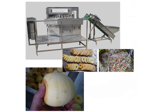 mango peeling and slicer machine