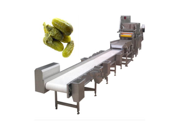 commercial small cucumber pickling machine