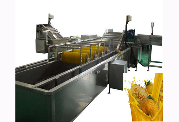 complete Tamarind juice production line