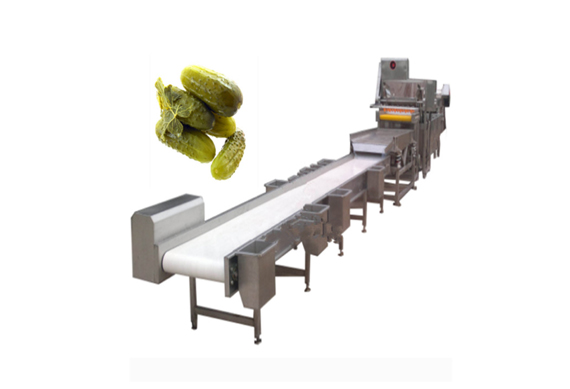 best quality Gherkin cucumber processing equipment