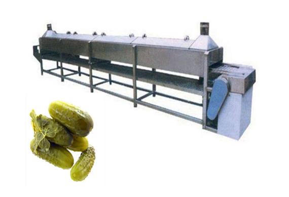 best quality Gherkin cucumber processing equipment