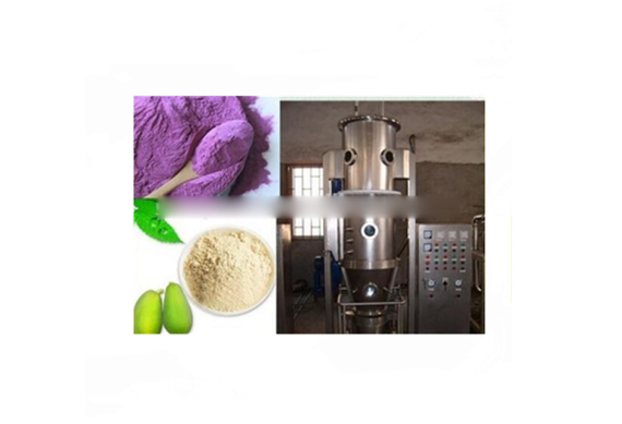 Spray drying machine for milk whey powder with good price