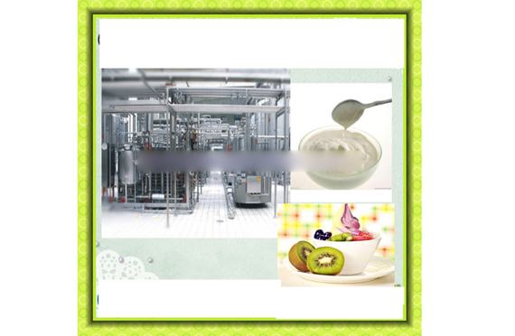 shanghai Automatic cheese processing plant