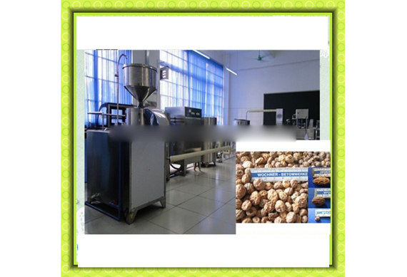 High efficiecncy tiger nuts milk processing equipment / tiger nuts milk production plant