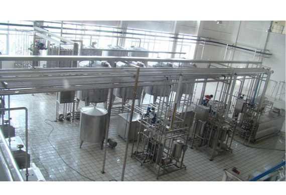 Industrial use 200-300L/H small scale camel milk processing plant