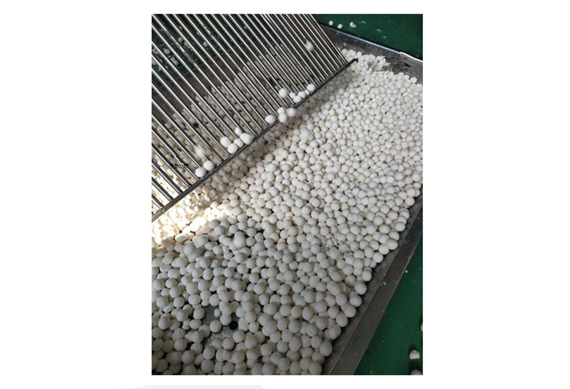 Tapioca pearl production line