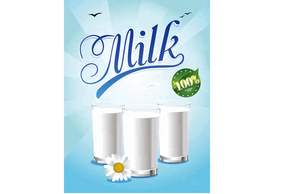 small milk homogenizer and pasteurizer for milk