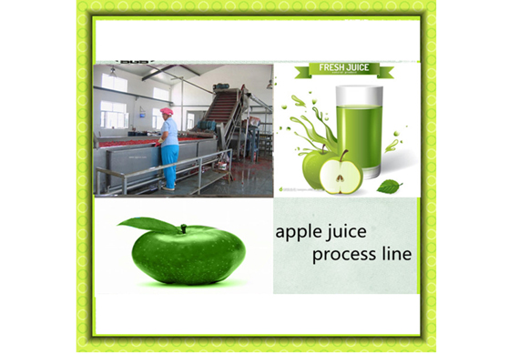 new fruit juice processing machine for apple/ orange/ pineapple/ tomato/etc