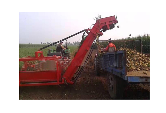 with picking equipment tractor mounted potato onion shallot garlic harvester