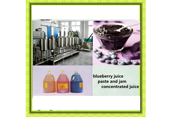 Blueberry blackberry currant mulberry strawberry grape etc fruit juice processing line