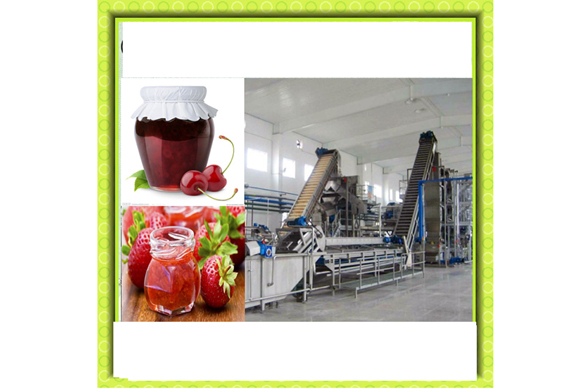 Fruit juice/jam/pulp/puree/paste/sauce making machine/plant/Factory