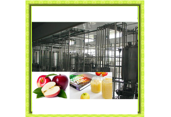 Fruit juice/jam/pulp/puree/paste/sauce making machine/plant/Factory