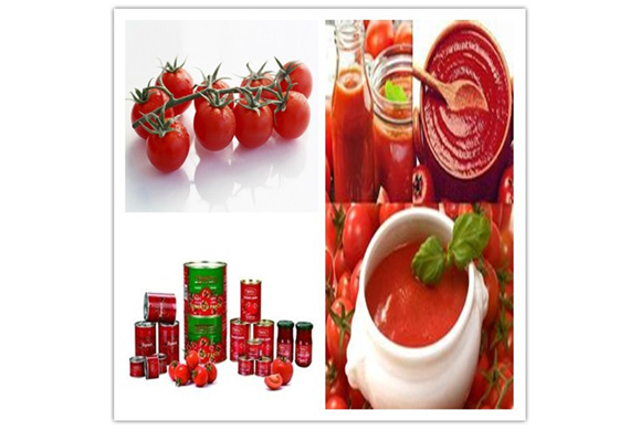 Fruit juice/jam/pulp/puree/paste/sauce making machine/plant/Factory