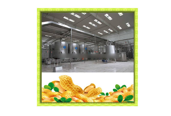 Automatic 1000L/H Peanut Milk Production Line