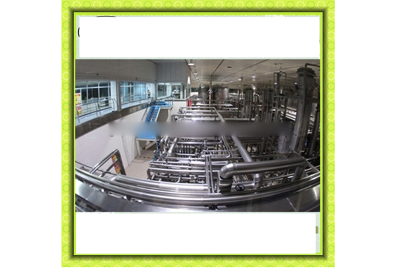 Leche condensada processing plant / evaporated milk processing equipment