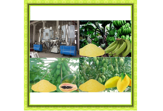 Electric Fruit Vegetable Powder Processing Line /Fruit Powder Production Line