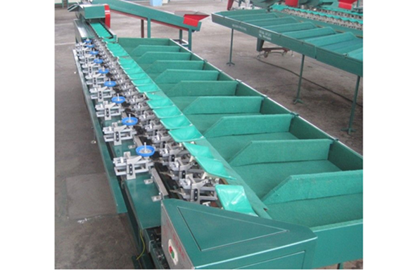 Passion Fruit Processing Avocado Onion Size Grading Sorting Machine